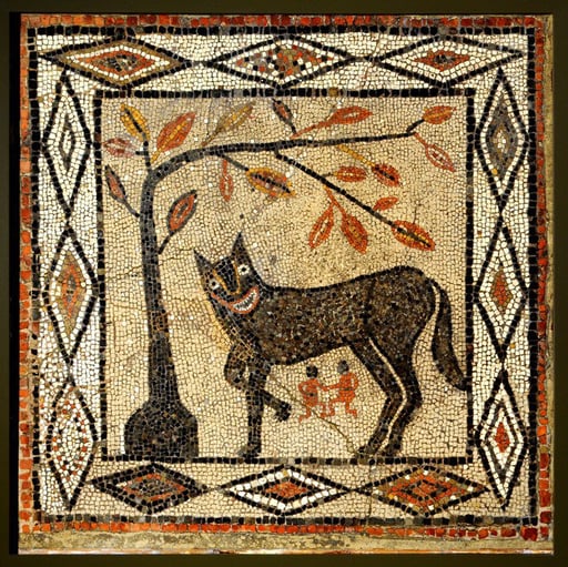 Dogenarii coin
