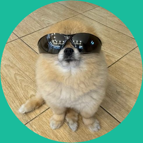 Kroi The Pom