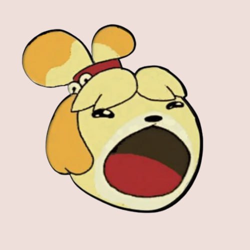 Popcat's Wife