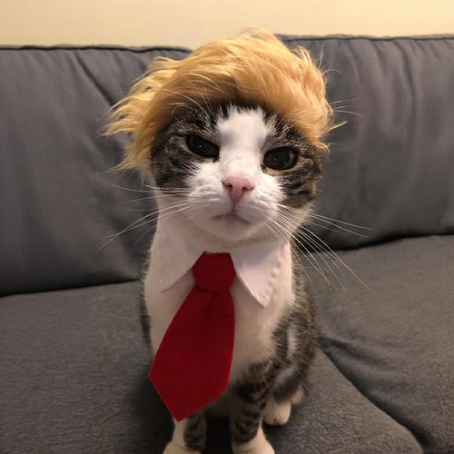Donald Crump