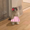 Michi's Wife