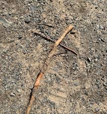 Stick