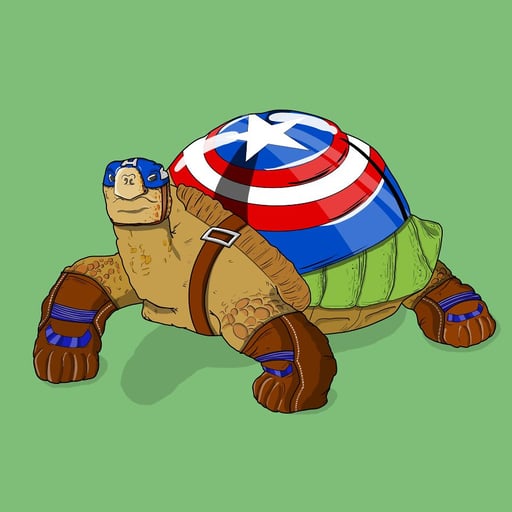 Captain Turtle