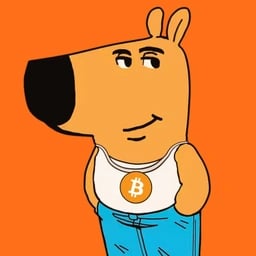 Just a Chill Bitcoin Guy