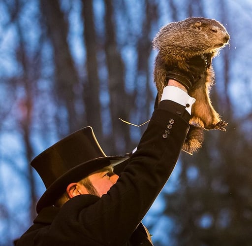 Groundhog Day