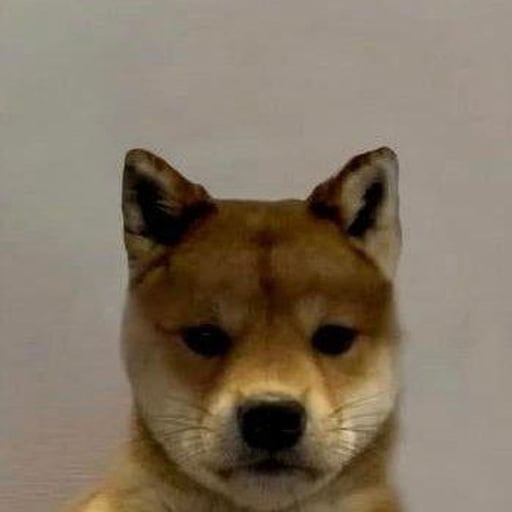 DOGWIFOUTHAT