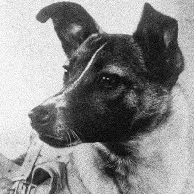 Laika