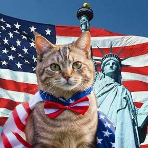 America's Cat
