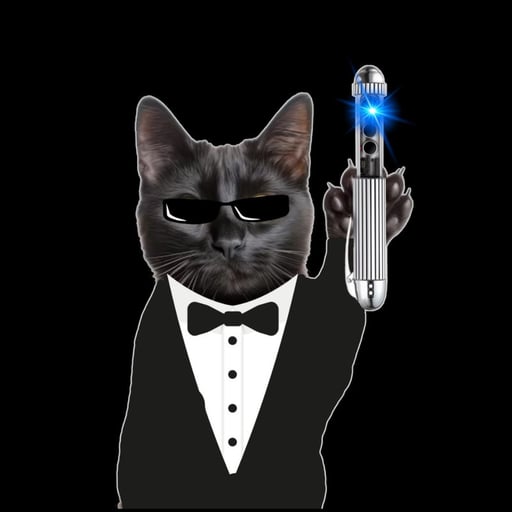 CAT IN BLACK