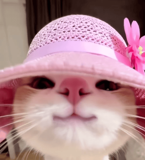 googoogaagaacat