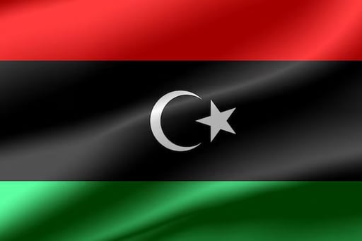 National coin of Libya