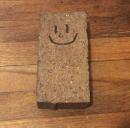 Pet Brick Astley
