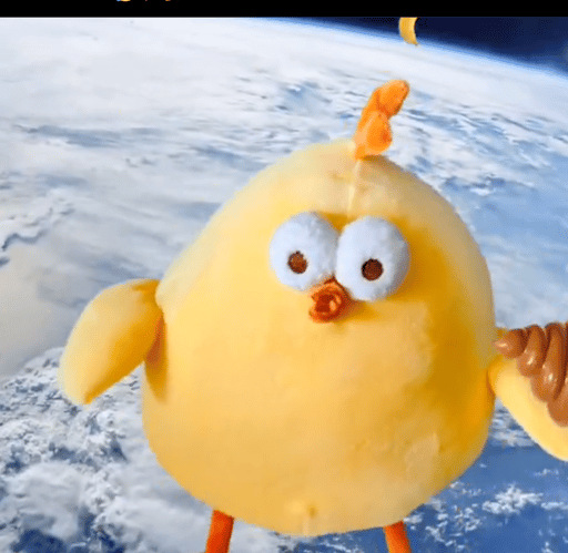 CHIKU
