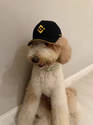 fur-nancial advisor