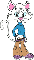 NSA Crypto Cat