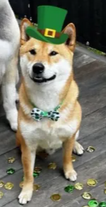 Floki