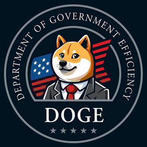 Department of Gov Efficiency
