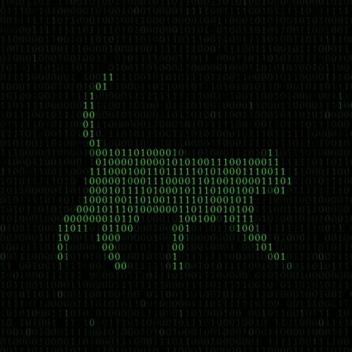 Matrix Cat
