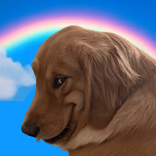 The Unstable Dog