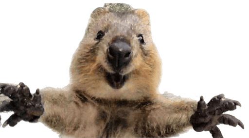 SelfieSteve