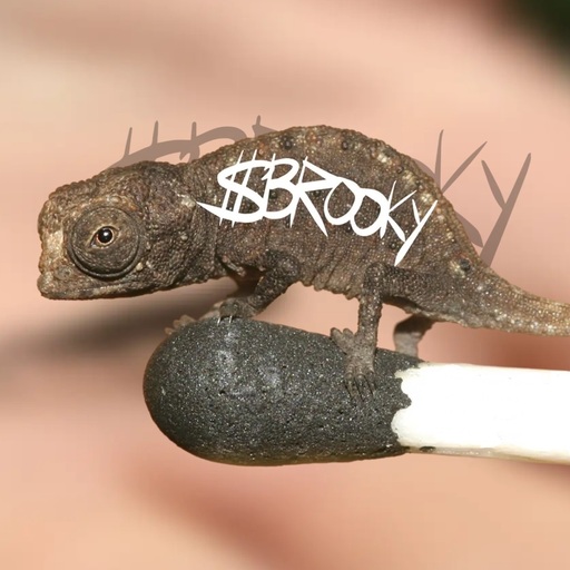 Brookesia nana