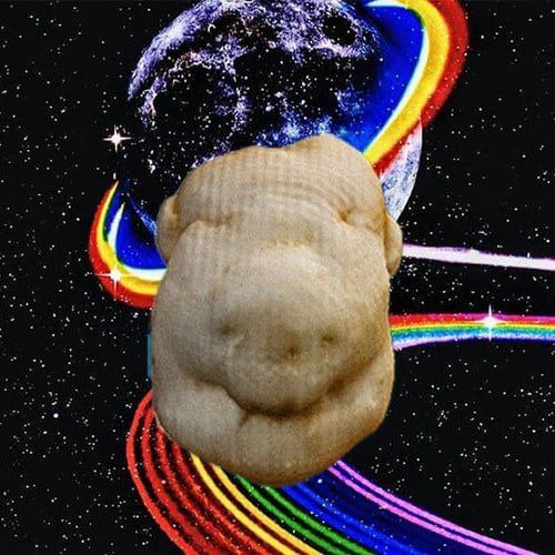 Potato Face Pig