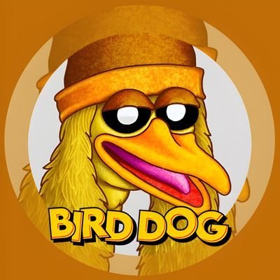 Bird Dog