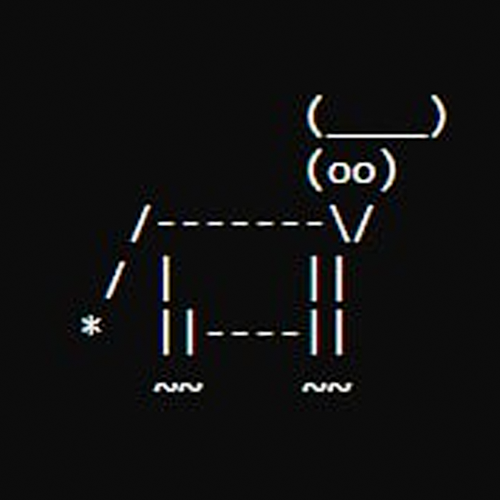 bull bulll bulll bull
