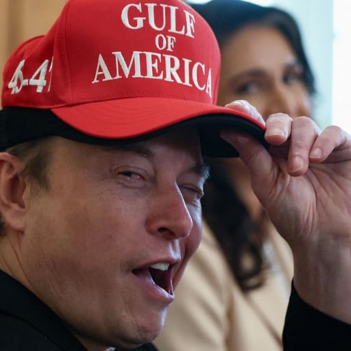 musk wink