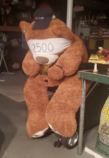 silver bear