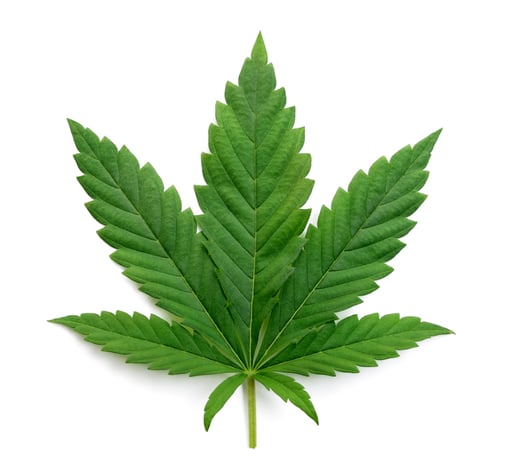 Canabiscoinsol