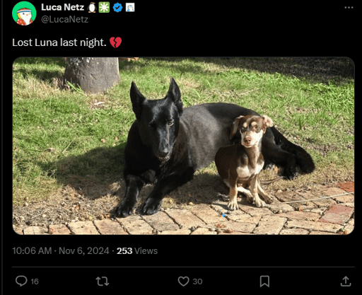 RIP LUNA