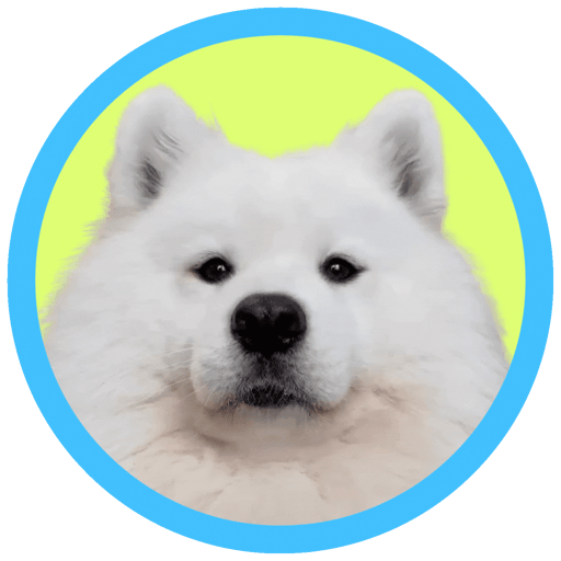 Maya Official Coin