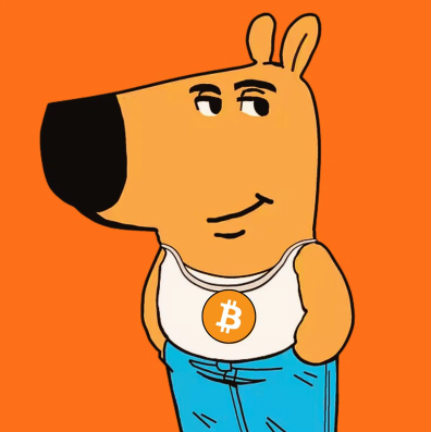Just Chill Bitcoin Guy