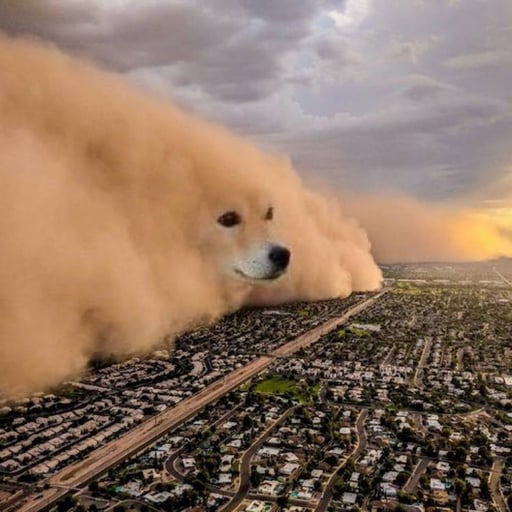 DOGE Storm