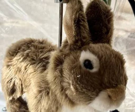 The Robo-Bunny
