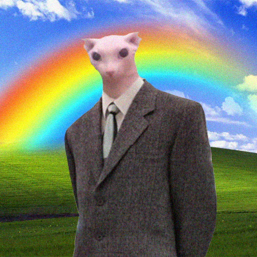 Bingus