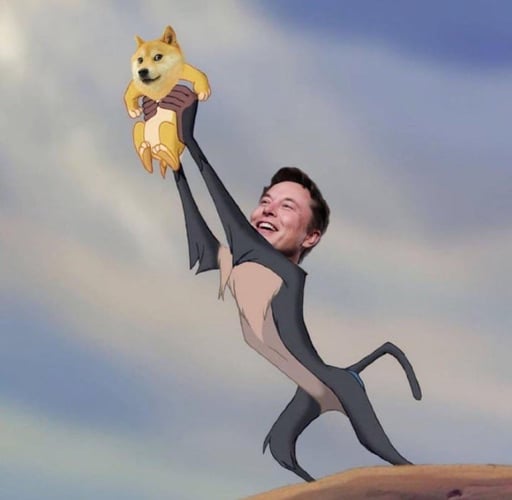 ELON DOGE 