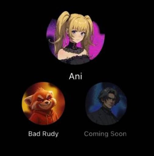 Ani, Bad Rudy & Rudy