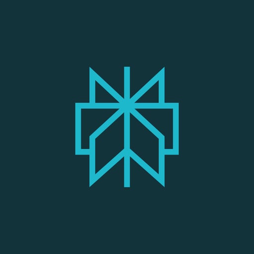 Perplexity Ai
