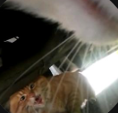 NO.1 BULLY TIKTOK CAT