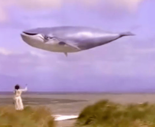 SkyWhale