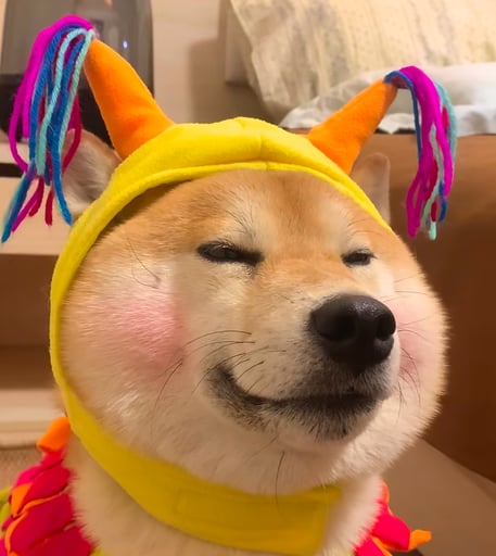 joki