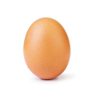 Egg Coin