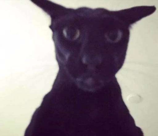 evil larry