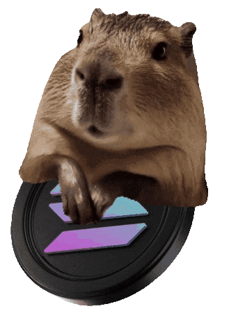 LiLi the Capybara
