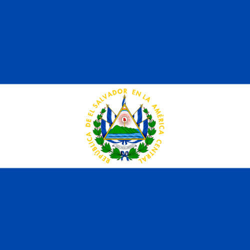 Official El Salvador Coin