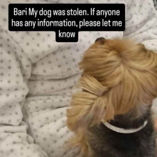 QUANT'S DOG KILLED