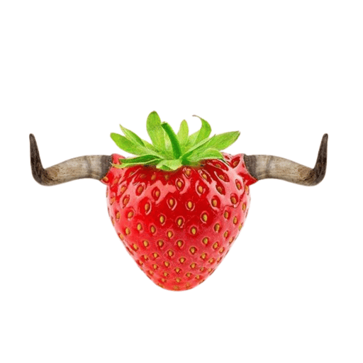 Bullberry