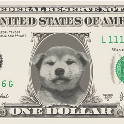 usdog
